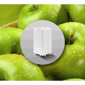 Fresh Apple