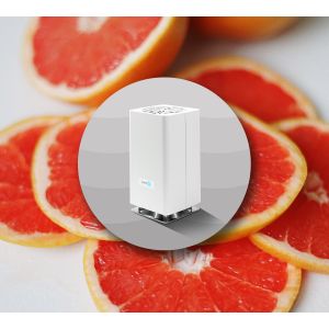 Pink Grapefruit