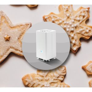 Sugar Cookie