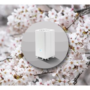 White Blossom Tea