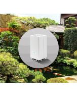 Asian Garden