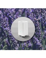 Lavender Clean