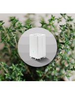White Tea & Thyme